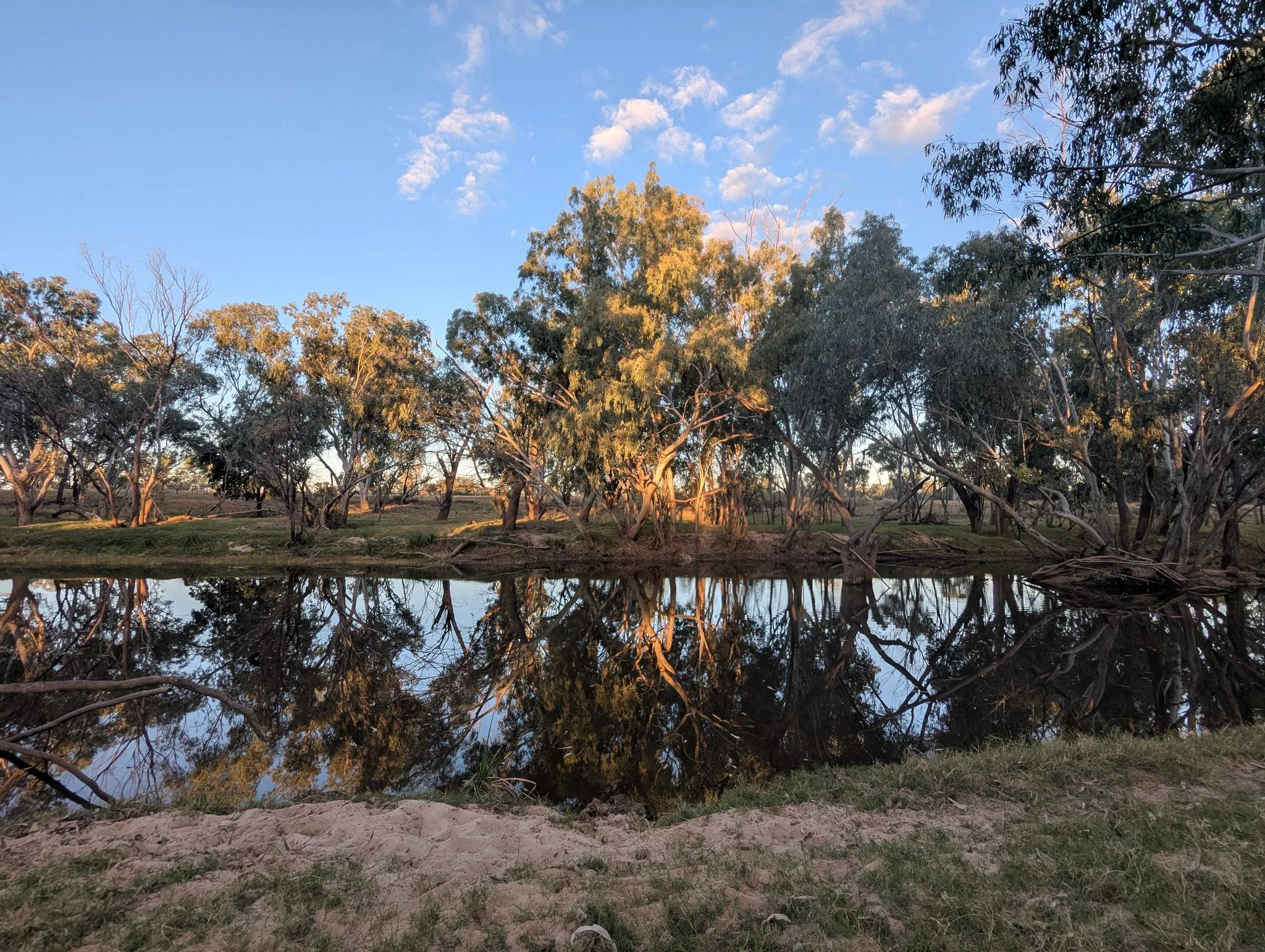 Coolibah trees reflected in a still outback waterhole